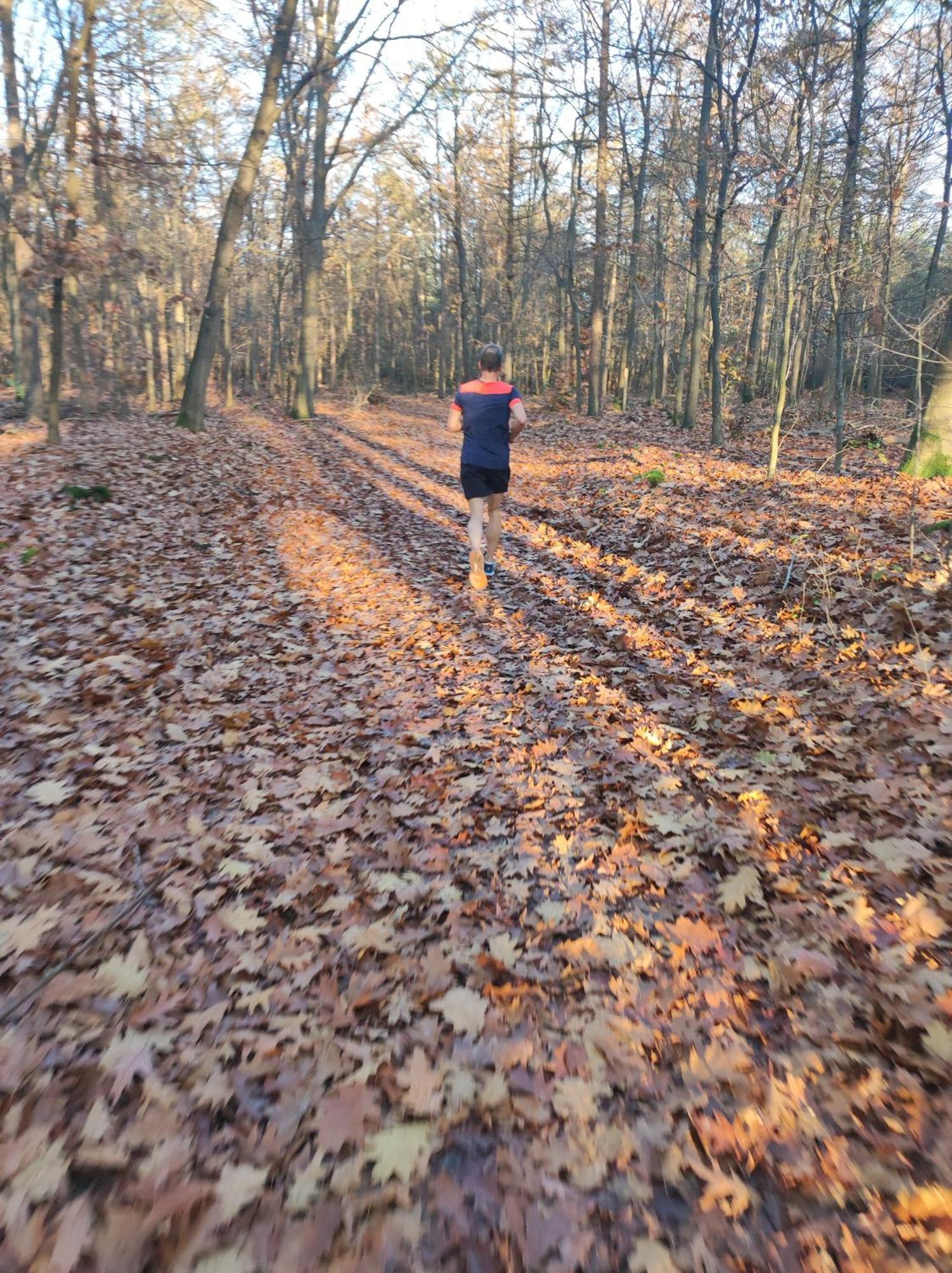 Poort Van De Veluwe Voorthuizen Exterior photo